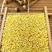 农户自家种植现磨的优质大黄米！长期稳定大量供货！支持定制