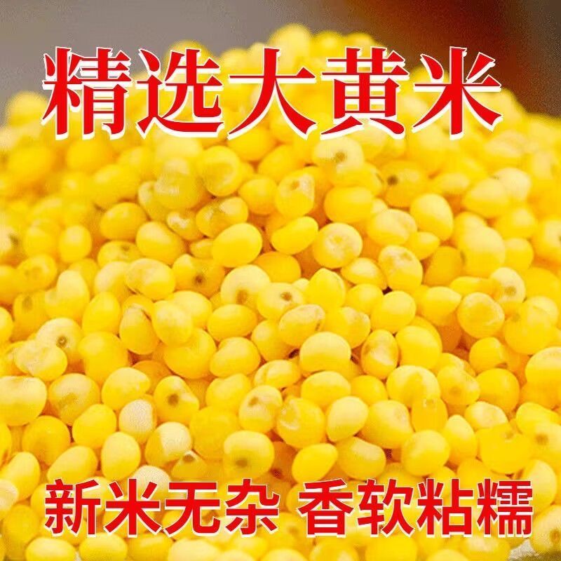 农户自家种植现磨的优质大黄米！长期稳定大量供货！支持定制