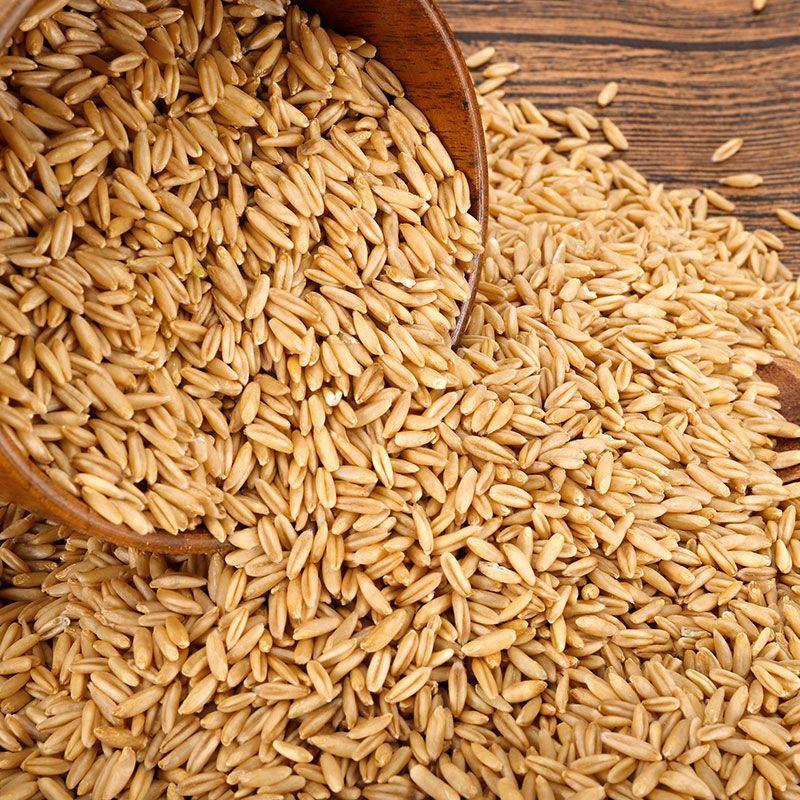 长期稳定大量供货燕麦米，农户自家种植，没有中间商赚差价！