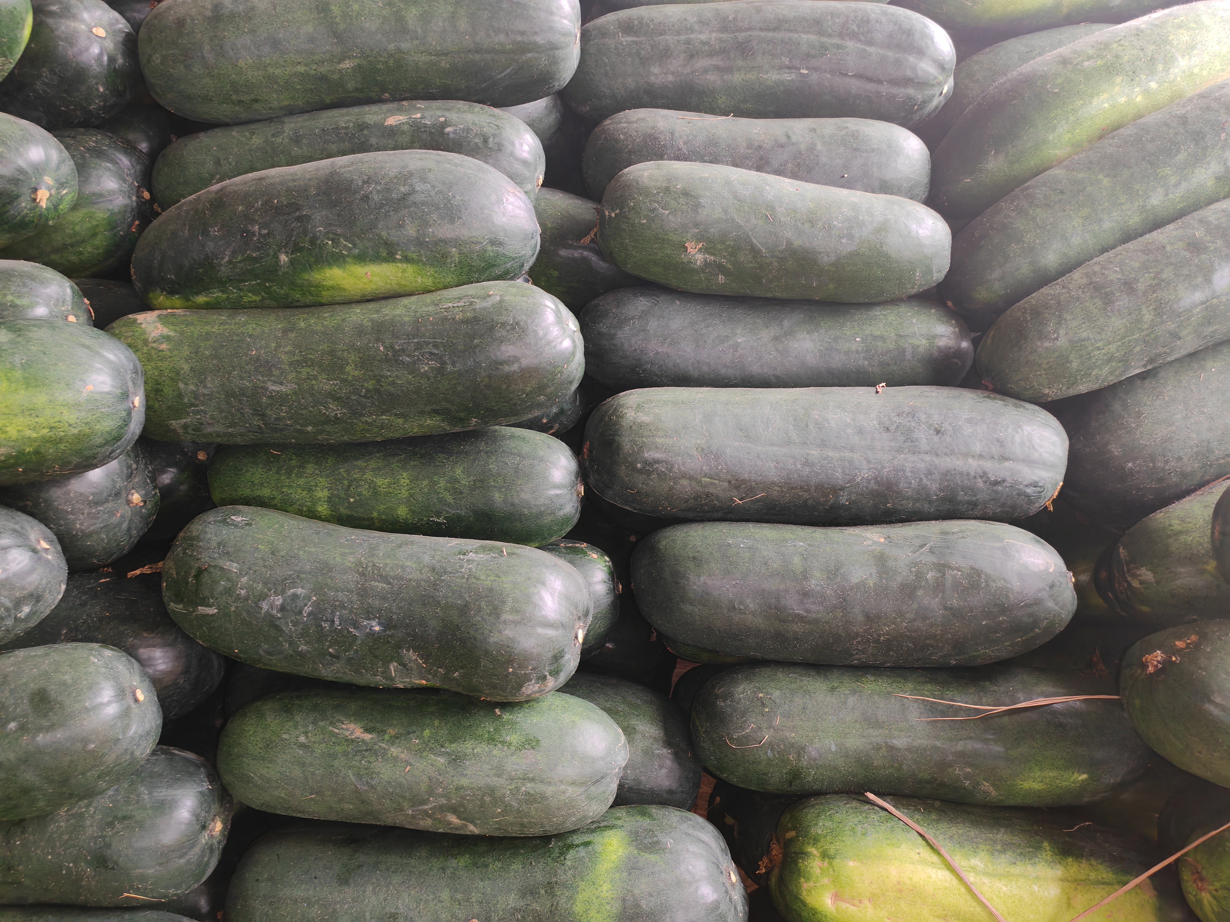 处理好的冬瓜与猪肉