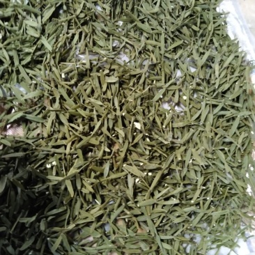 槲寄生，螃蟹脚，纯野生，无硫磺，自然阴干，锁住含量