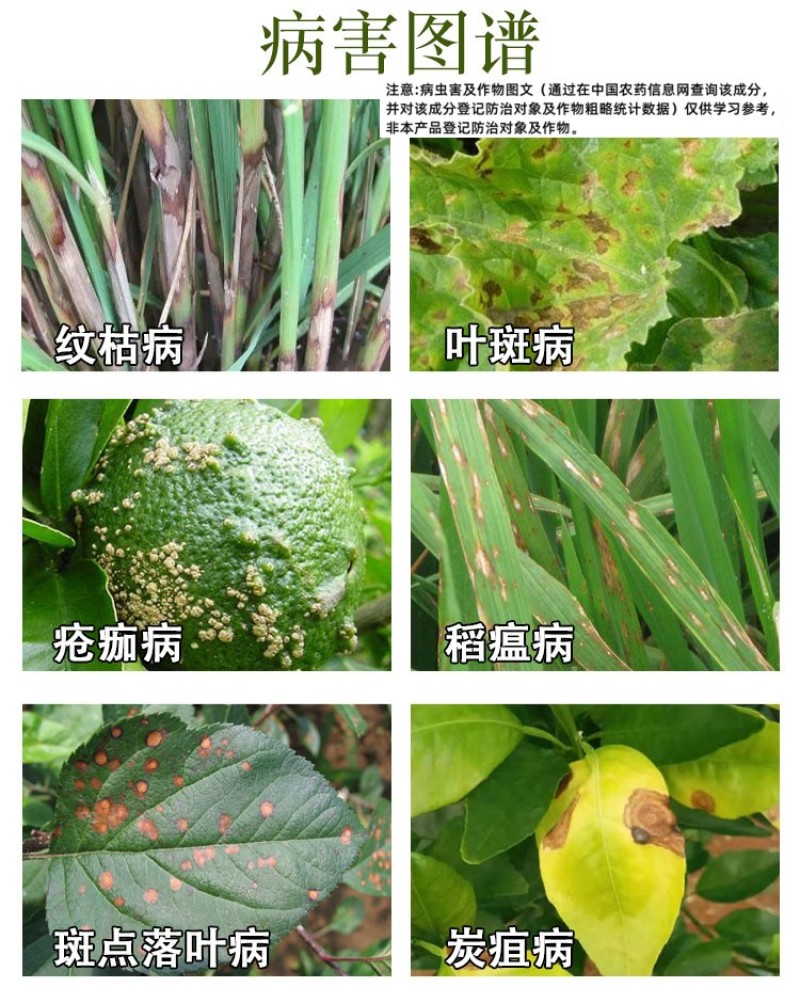 健丰36%肟菌戊唑醇水稻稻曲病农药杀菌剂包邮悬浮剂微毒