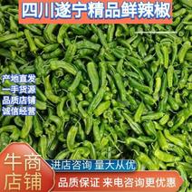 遂宁青椒，品种保证，一手货源，保证质量，价格欢迎咨询