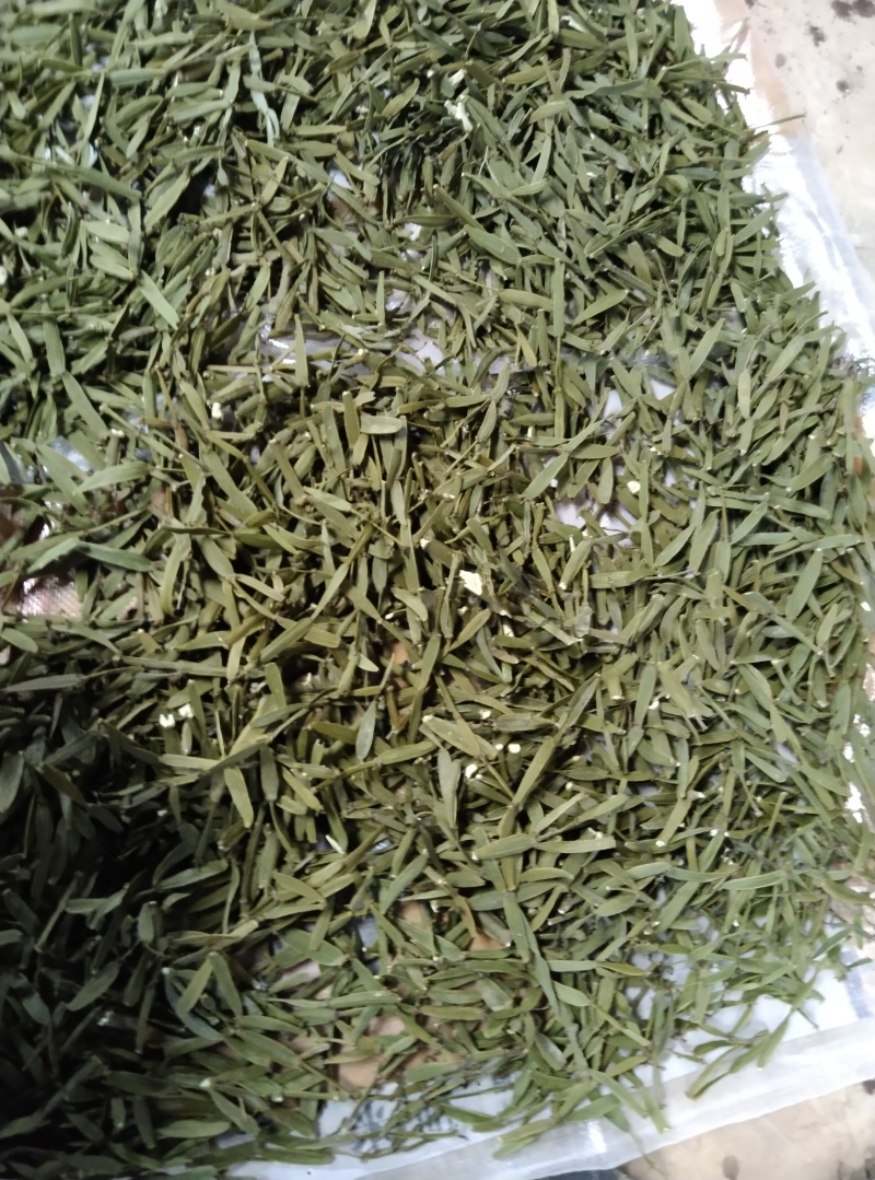 槲寄生，螃蟹脚，纯野生，无硫磺，自然阴干，锁住含量