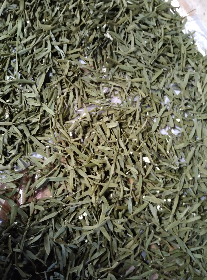 槲寄生，螃蟹脚，纯野生，无硫磺，自然阴干，锁住含量