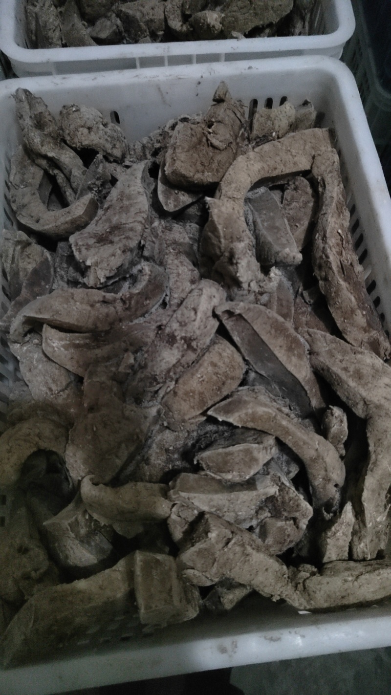 牛肝