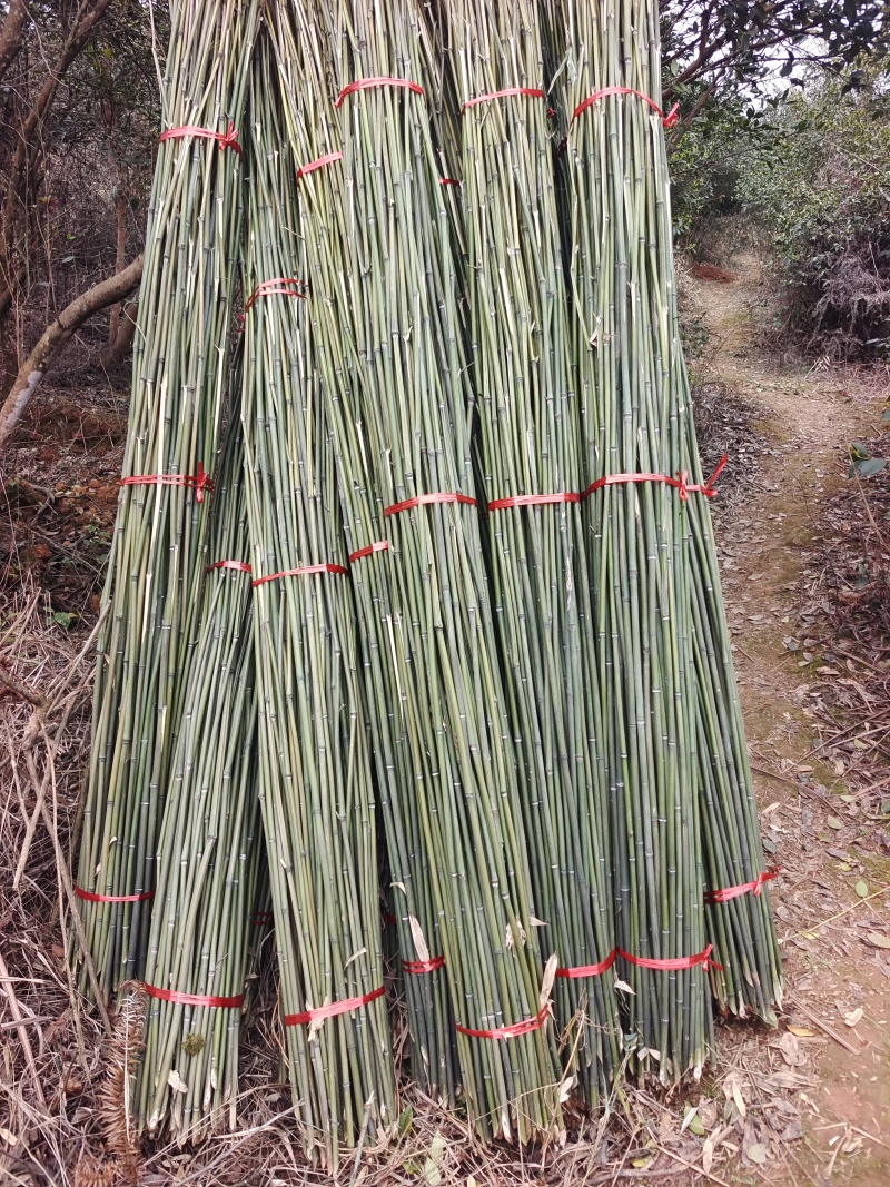 菜架竹杆