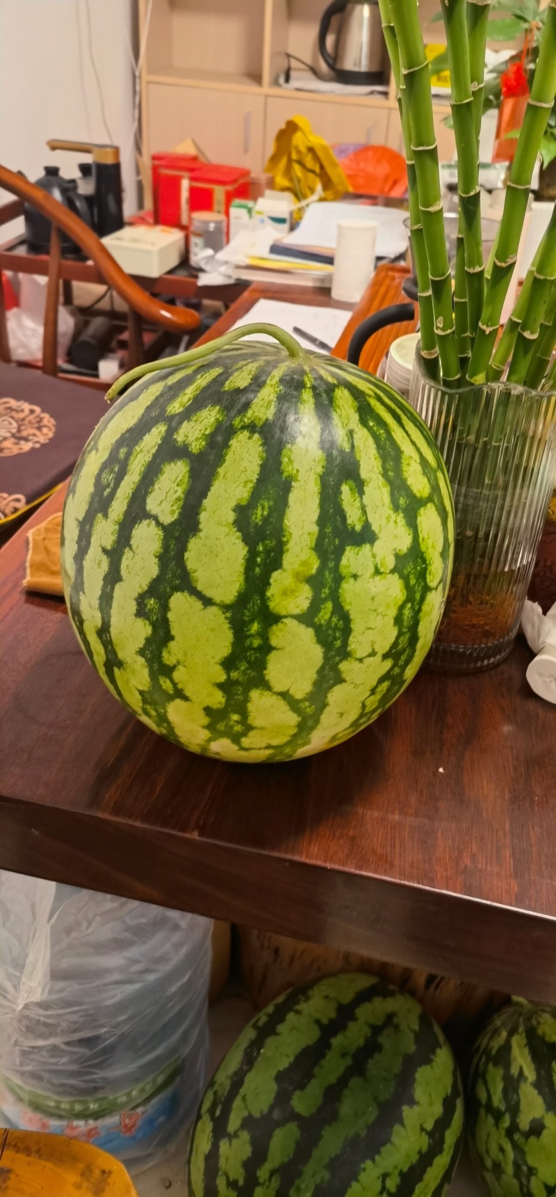 直生苗美都品质好三叶一心移栽正好抗病抗裂口感好多茬采收