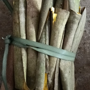 中药材