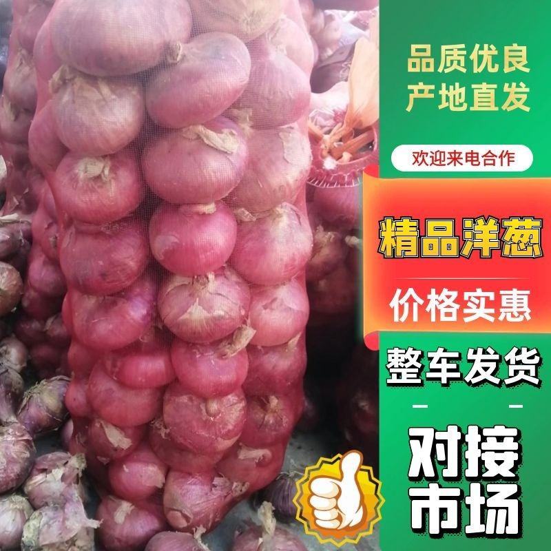 红皮洋葱大量上市，品种齐全支持全国发货，诚信为本…