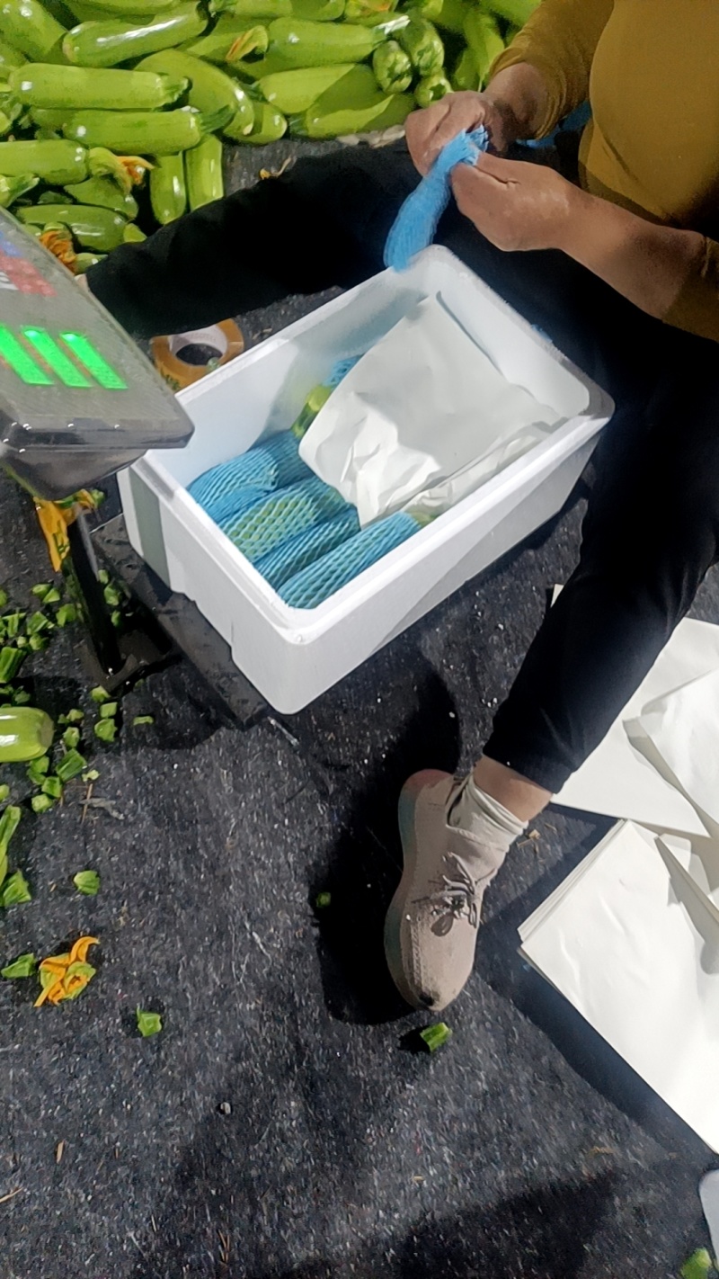 绿皮西葫芦