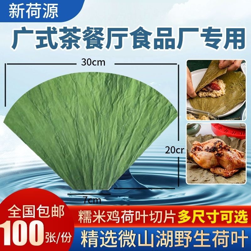 微山湖精品荷叶