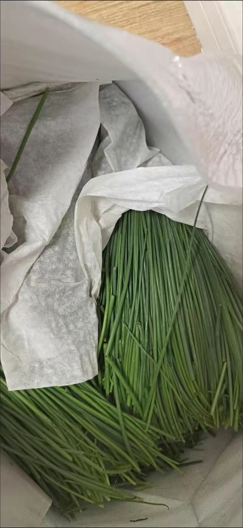 顺丰民勤新鲜沙葱现剪鲜发坏单包赔野葱野菜凉拌火锅菜胡葱