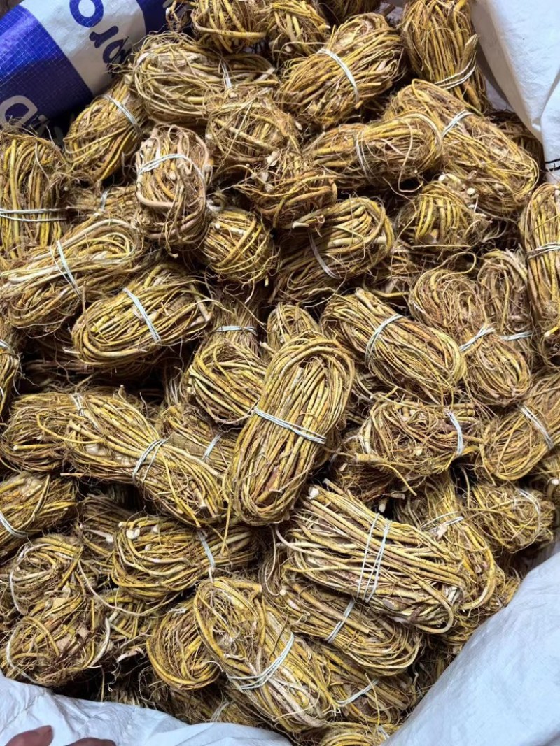 【推荐】广东正宗无硫五指毛桃根小扎把品质好价格优