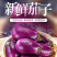 圆茄子全国接待产地新鲜一手货源产地批发鲜货