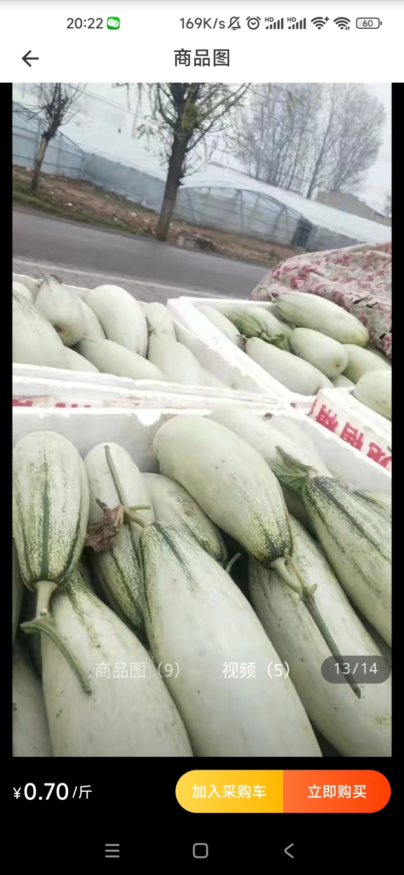 山东甜瓜羊角蜜甜瓜皮薄脆甜口感好一手货源一件代发全国诚信