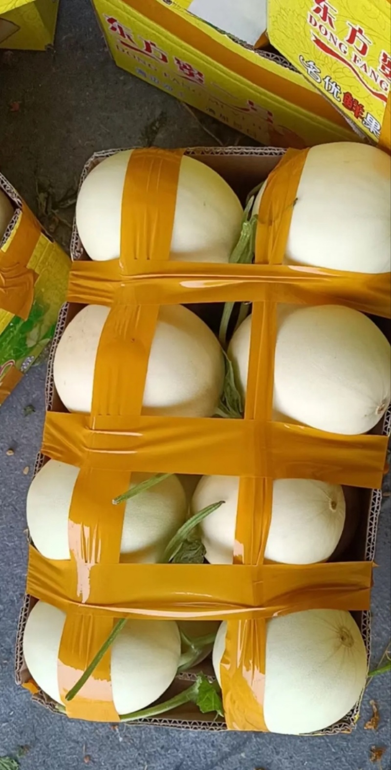 山东菏泽红心脆梨/红玉甜瓜/精品产地直发对接商代发全国