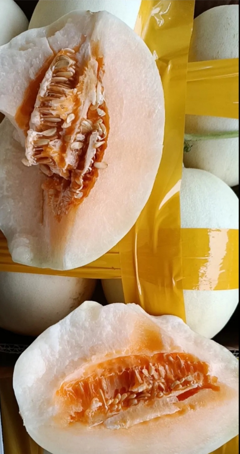山东菏泽红心脆梨/红玉甜瓜/精品产地直发对接商代发全国