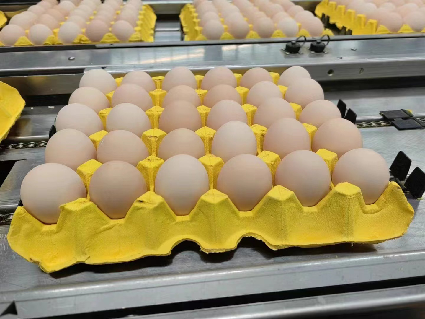 展示鸡蛋滚动过程中蛋黄受力与结构变化 鸡蛋滚动实验示意图