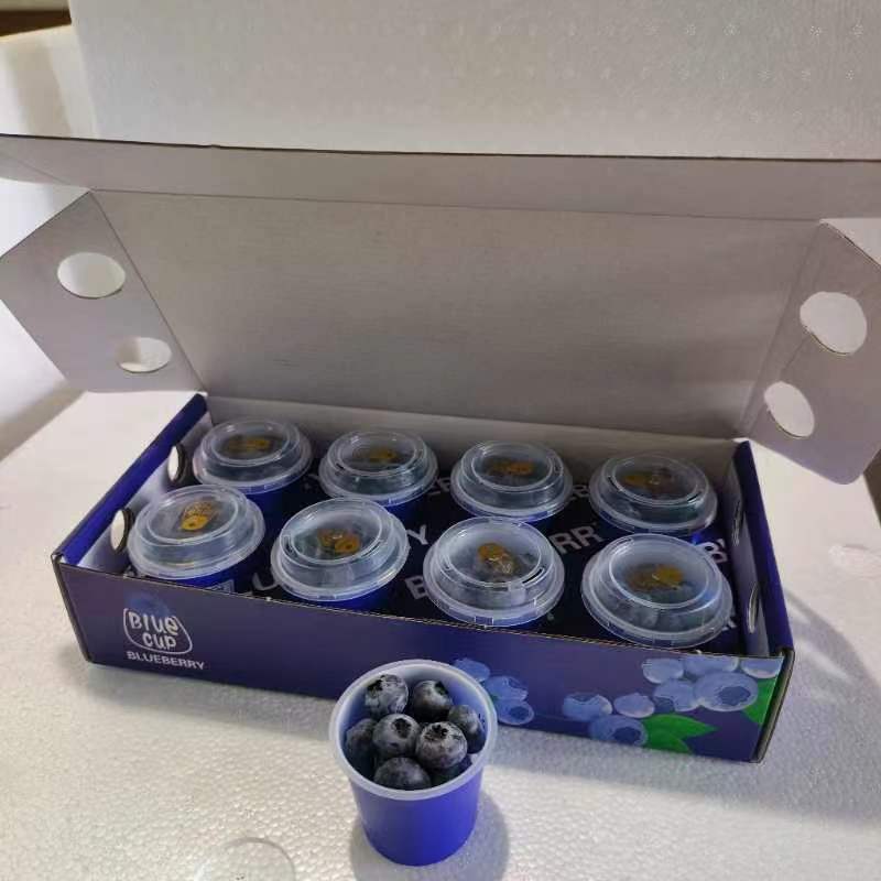 云南蓝莓一件代发