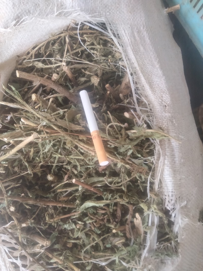 臭灵丹干货