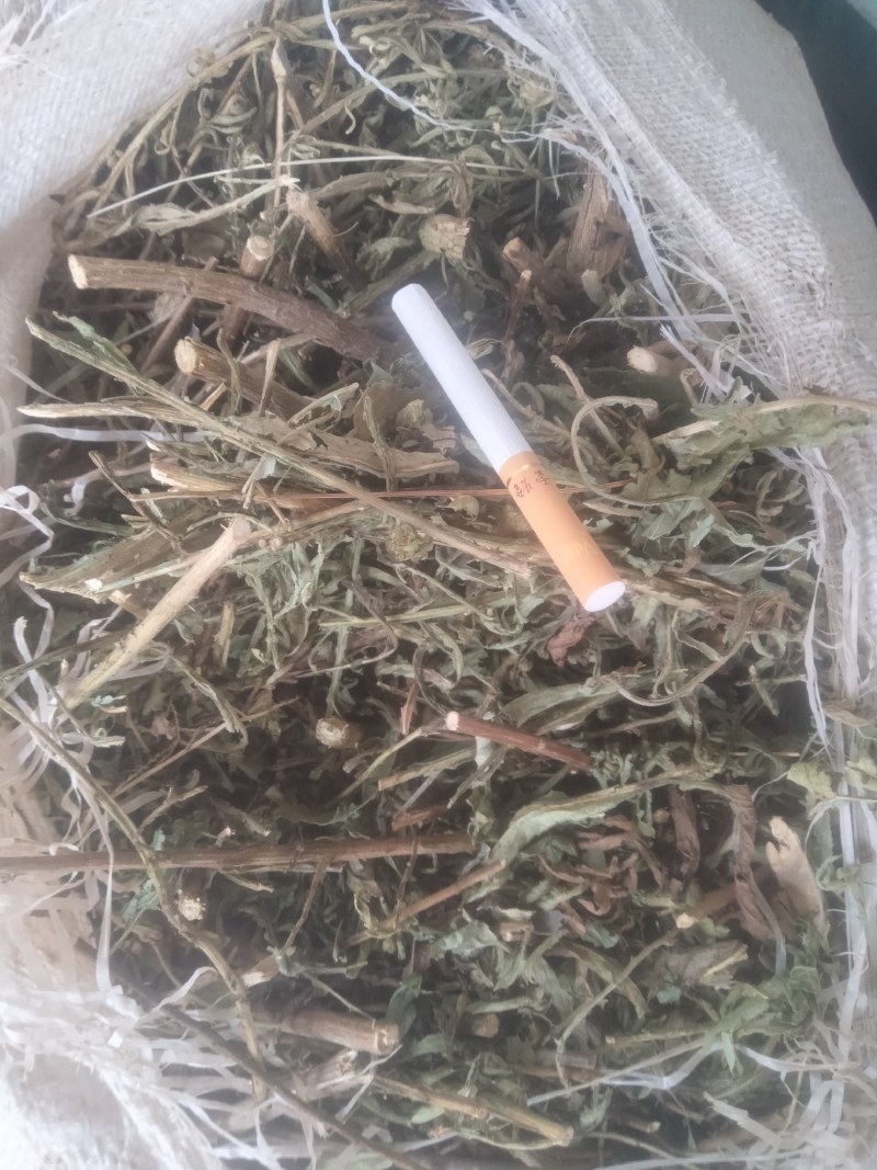 臭灵丹干货