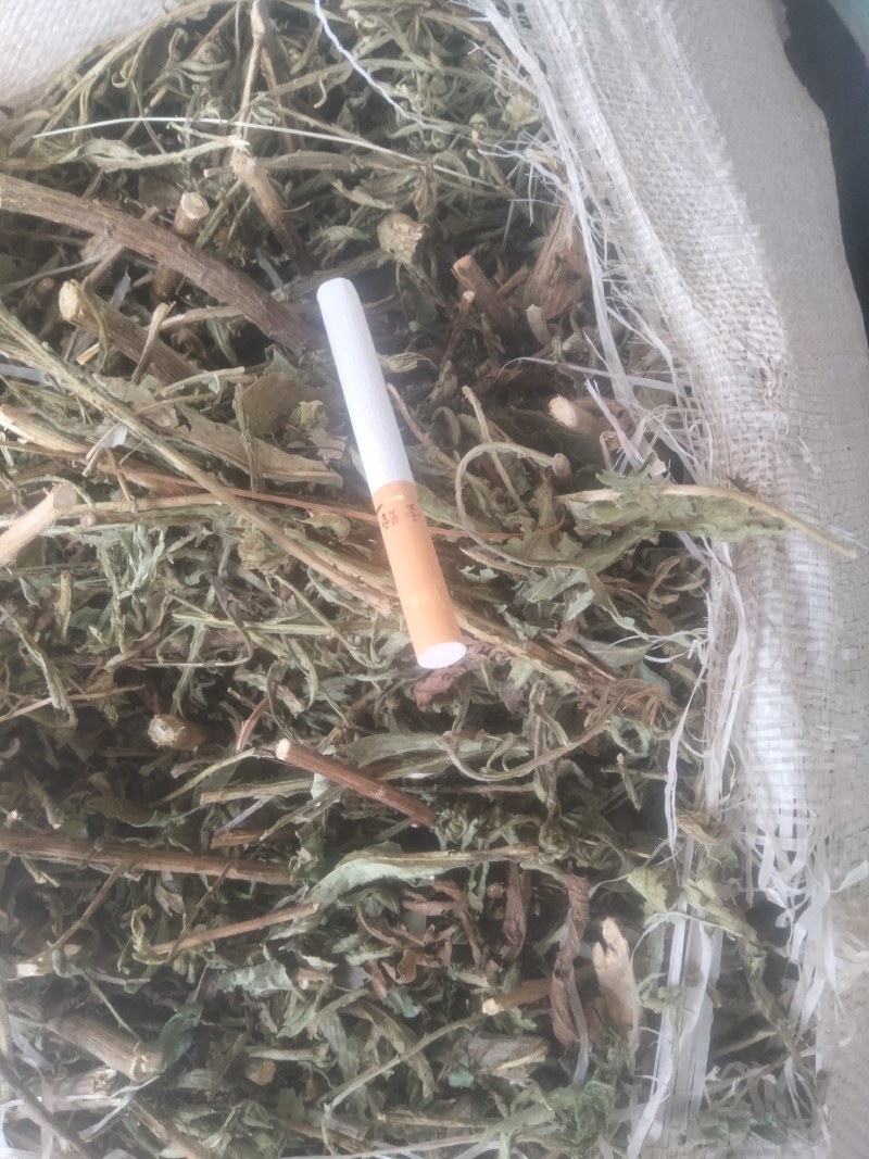 臭灵丹干货