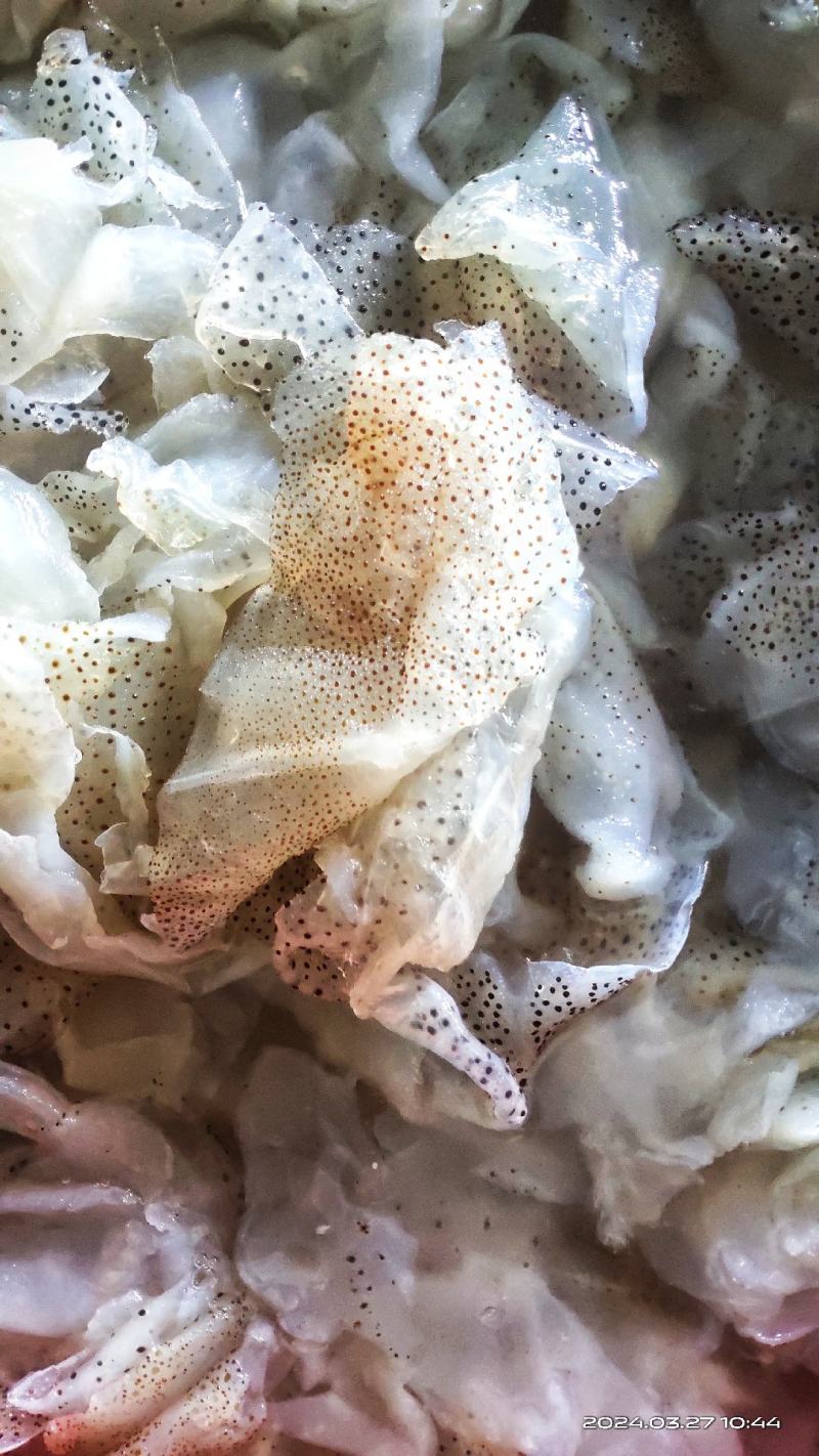 海蜇丝、海蜇头、海蜇皮、海蜇花、硬度好清脆爽口，可供酒楼