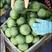 热卖中精品绿宝香瓜大量上市产地直发一手货源欢迎来电