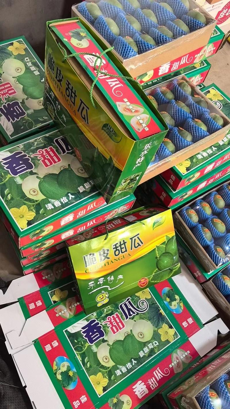 热卖中精品绿宝香瓜大量上市产地直发一手货源欢迎来电