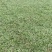绿化草皮
