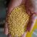 农户自家种植现磨的优质大黄米！长期稳定大量供货！支持定制