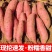 湖北黄土高坡黄金薯