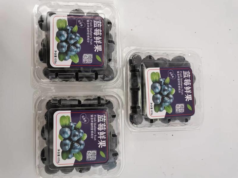 蓝莓，口味哇塞，吃了对人的眼睛有保护，和明亮的作用。