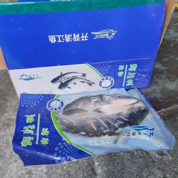 开背鱼，鮰鱼烤鱼店火爆单品价格便宜规格全好吃不贵