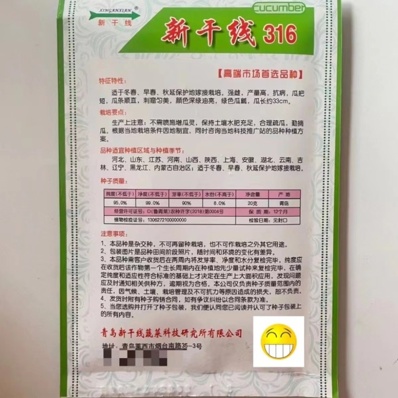 油绿811黄瓜品种种子耐热品种青瓤油亮黄瓜品种种子