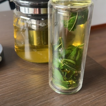 桑叶茶