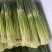 【实力】河南新鲜蒜苔红帽蒜苔产地一手货源品质保证