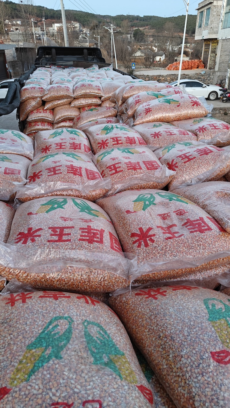 精品黄玉米粒