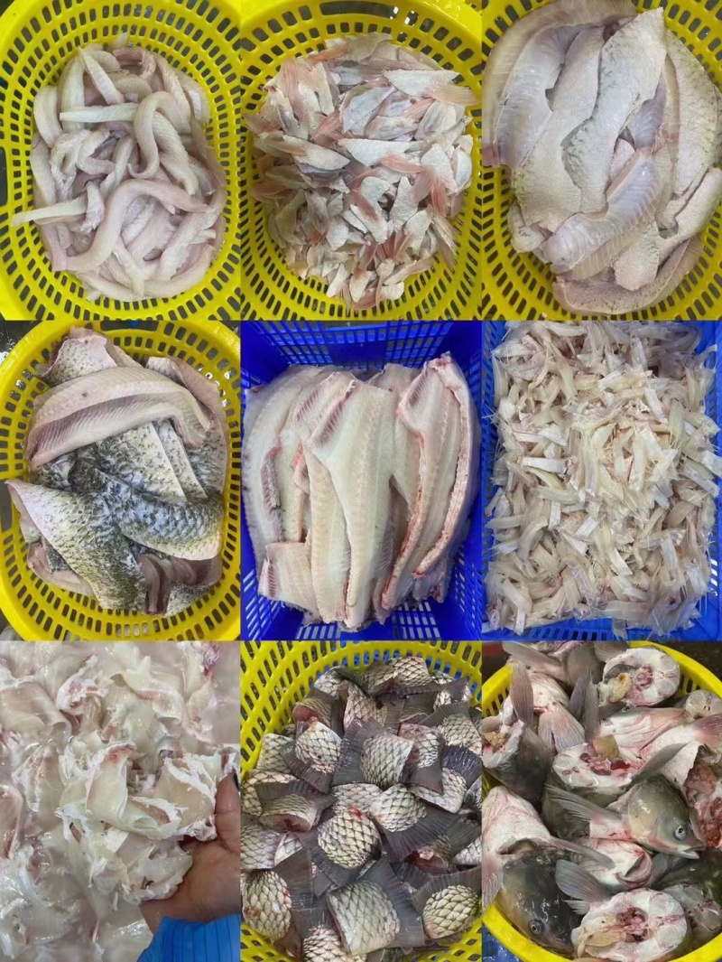 东升脆肉鲩