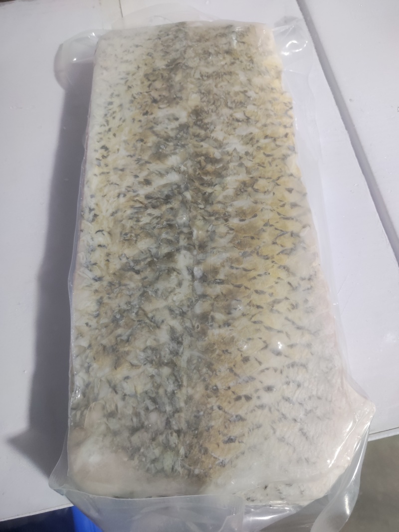 东升脆肉鲩