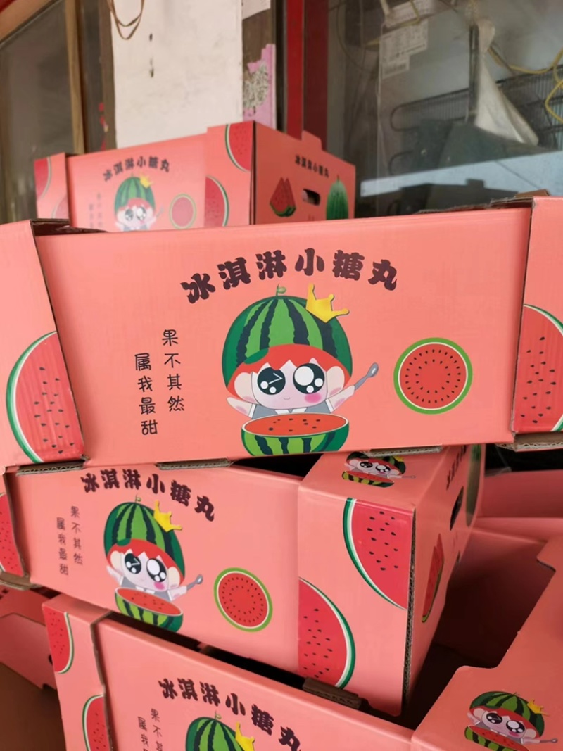 n早春红玉2K小糖丸大量上市保质保量全国代发