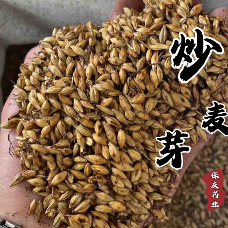 焦麦芽生麦芽炒麦芽麦芽三种规格实拍现货正品