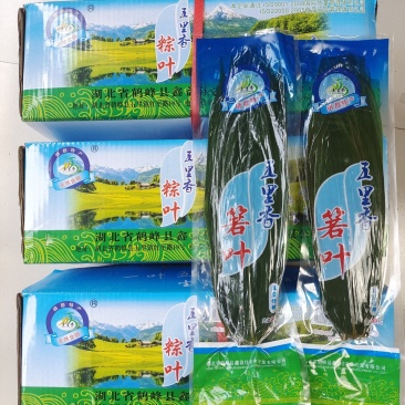 鑫益佳真空粽叶新鲜保鲜叶粽子叶整箱50包2500片