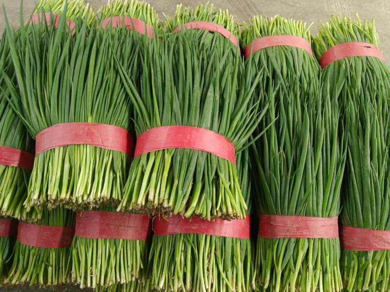 大量小葱，净葱上市