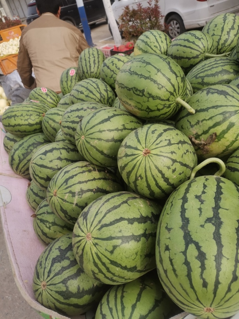 t小糖丸早春红玉2K小西瓜大量供应保质保量全国发货