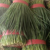 大量小葱，净葱上市