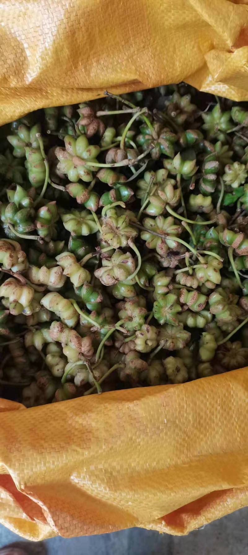 广西无硫大红八角，源头厂家，货源充足，品质保证，价格实惠
