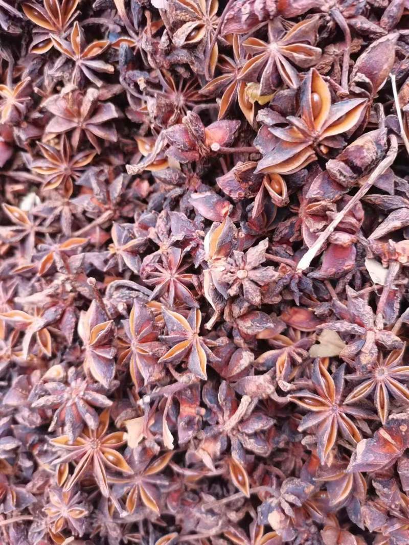 广西无硫大红八角，源头厂家，货源充足，品质保证，价格实惠