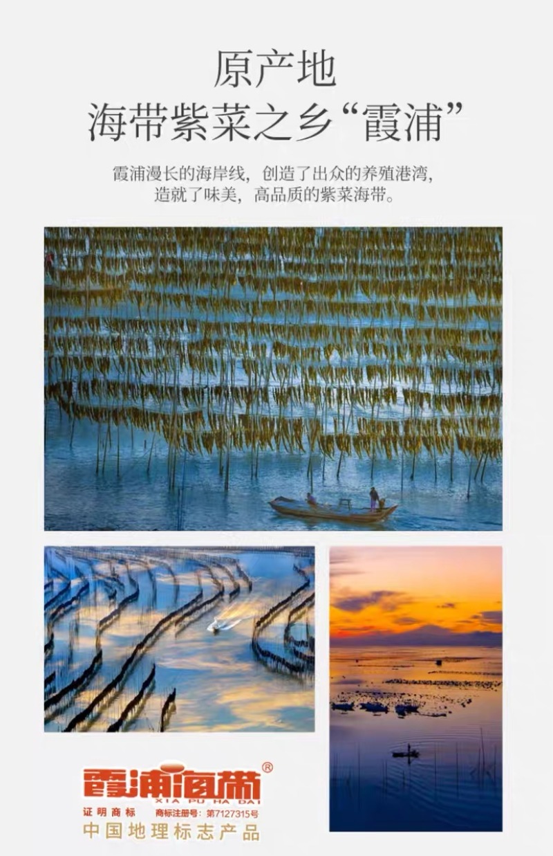 烘干压缩海带丝霞浦海带干货干海带丝圆饼凉拌即使商用